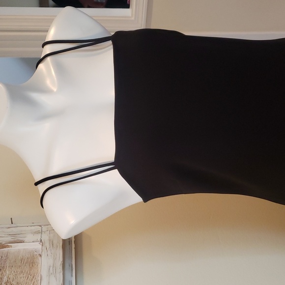 ZARA Dress - Picture 3 of 10